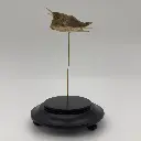 Cloche Lactoria cornuta /poisson vache