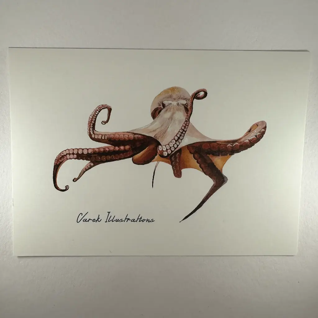 Carte postale motif marins