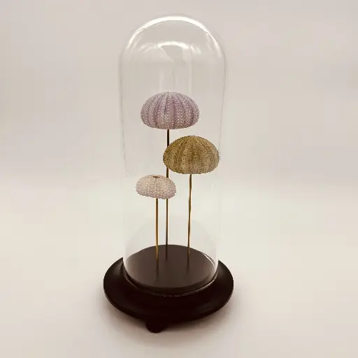 [AR00001] Cloche 3 oursins